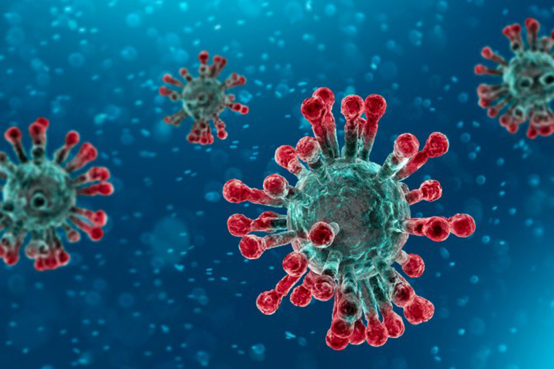 Coronavirus, a micro-organism stops an economic superpower