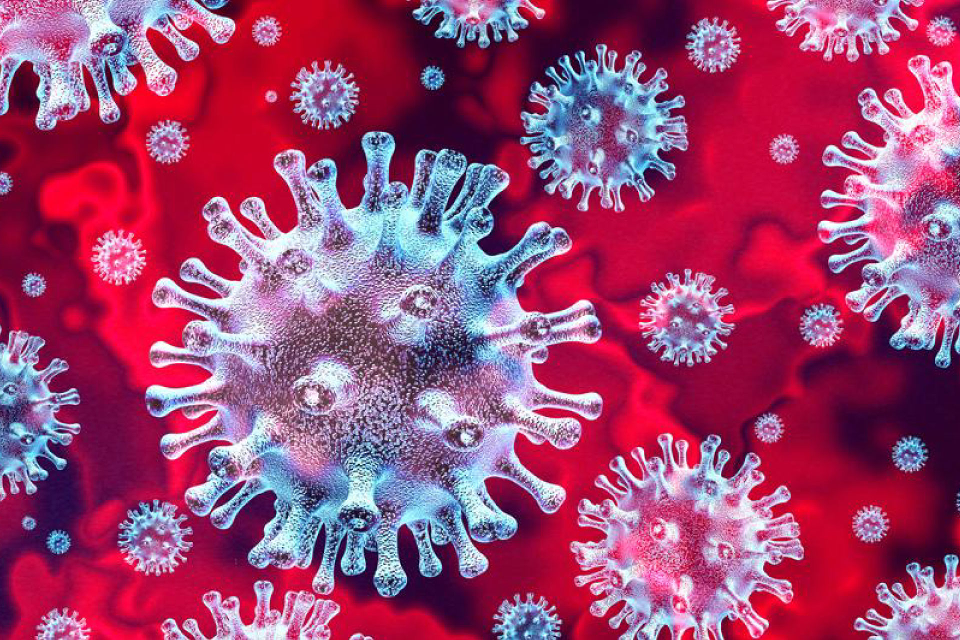 Temact Vida SL: Coronavirus Killer